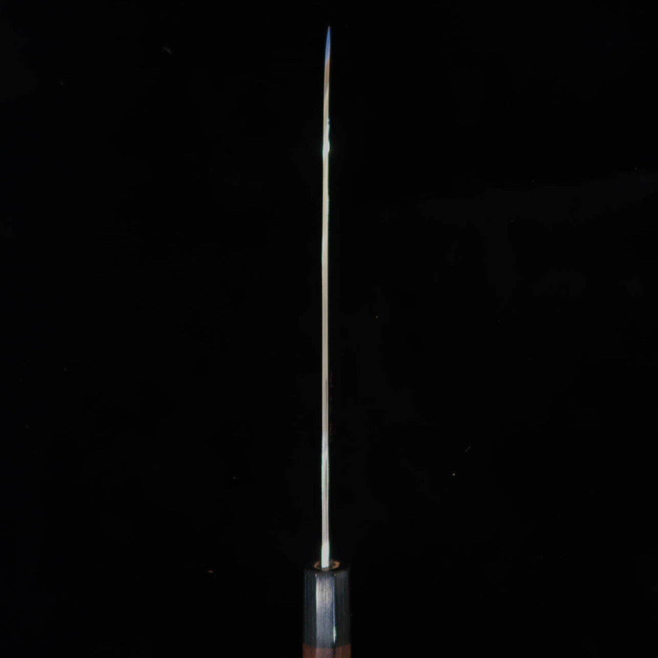 SAJI TAKESHI 佐治武士 Aogami 2 Damasco de color Gyuto mango octogonal de palisandro (210/240/270mm)