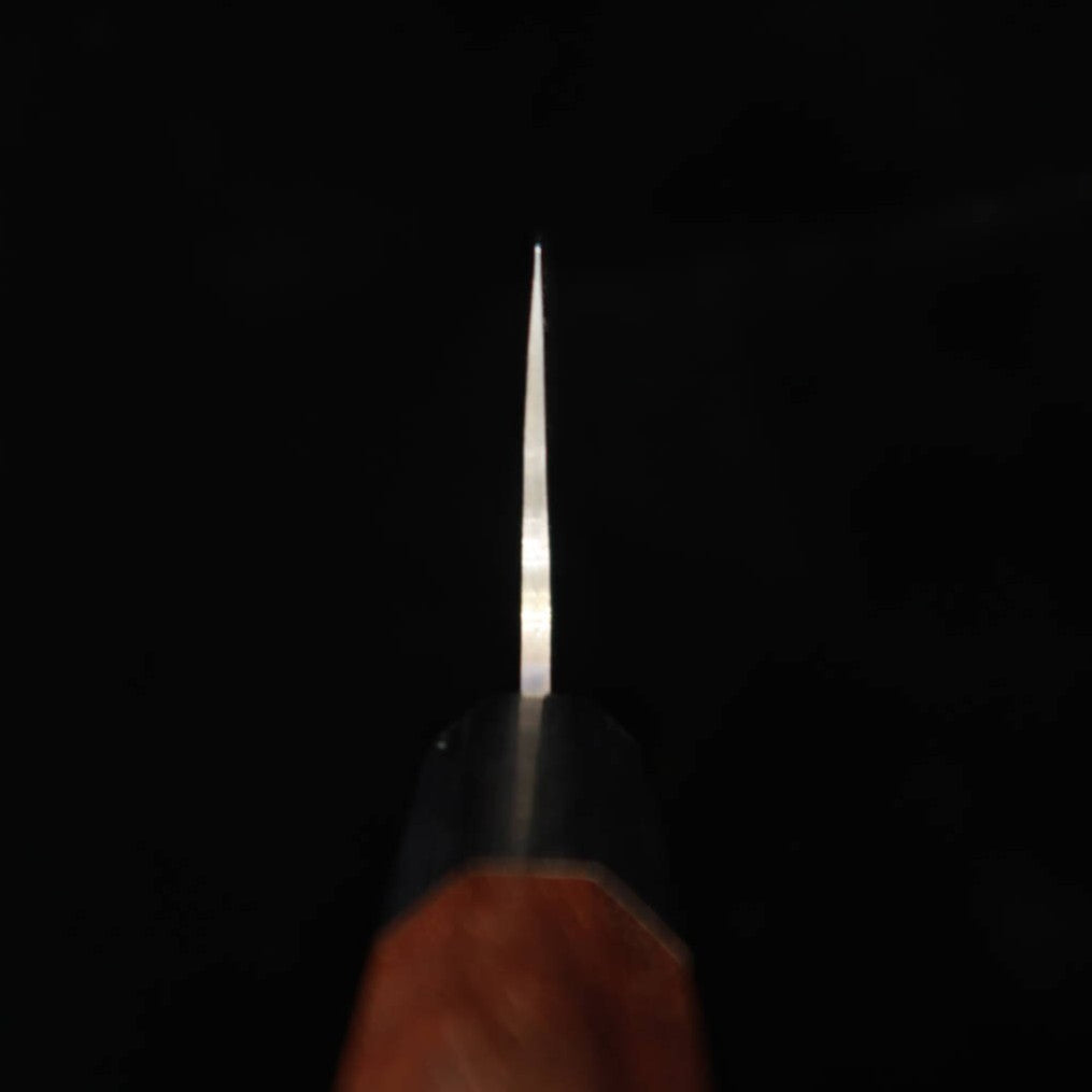 SAJI TAKESHI 佐治武士 Aogami 2 Damasco de color Gyuto mango octogonal de palisandro (210/240/270mm)
