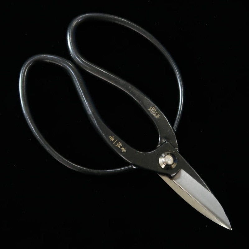 三浦MIURA 大久保鋏泰則印 青一鋼 黒張箱入 (180mm)