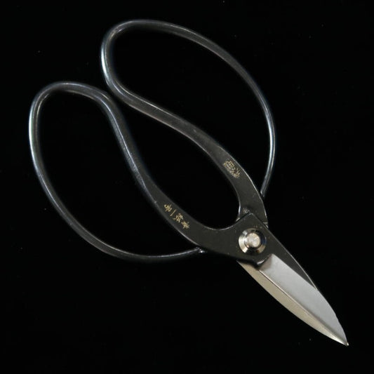 三浦MIURA 大久保鋏泰則印 青一鋼 黒張箱入 (180mm)