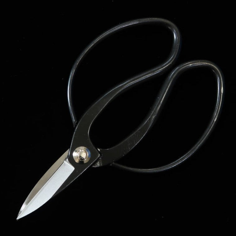 三浦MIURA 大久保鋏泰則印 青一鋼 黒張箱入 (180mm)