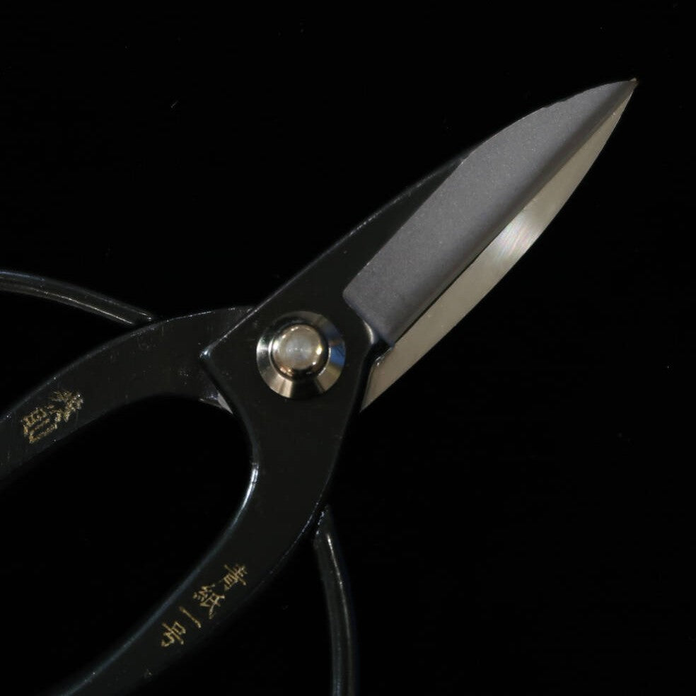 三浦MIURA 大久保鋏泰則印 青一鋼 黒張箱入 (180mm)