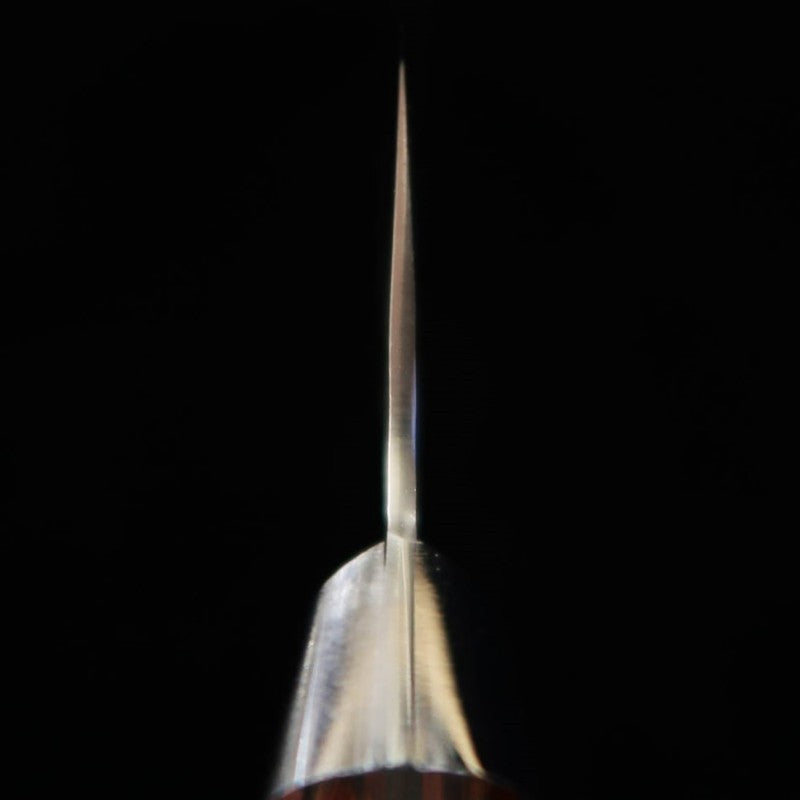 Faca de açougueiro SAKAI TAKAYUKI VG10 Damasco, cabo de mogno (210mm)