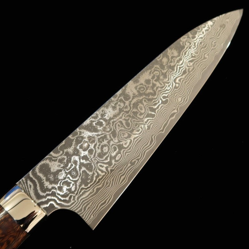SAJI TAKESHI Gyuto R2 Damasco Ironwood (180-240 mm)