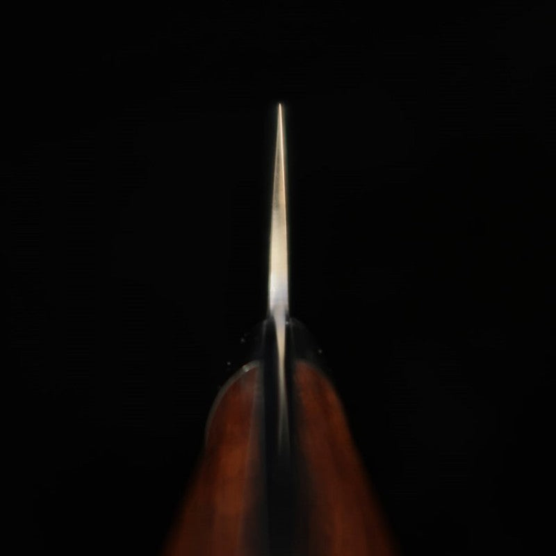 SAJI TAKESHI Gyuto R2 Damasco Ironwood (180-240 mm)