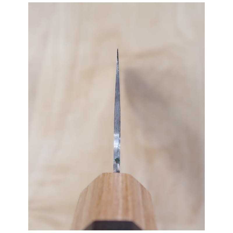 Saji Takeshi, VG10, damas coloré, couteau de chef, manche octogonal en palissandre (180-240 mm).