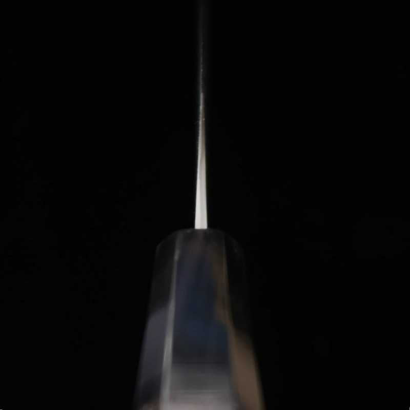 二唐刃物鍛造所 NIGARA SG2 暗紋切付筋引 黒水牛黒檀柄 (255mm)