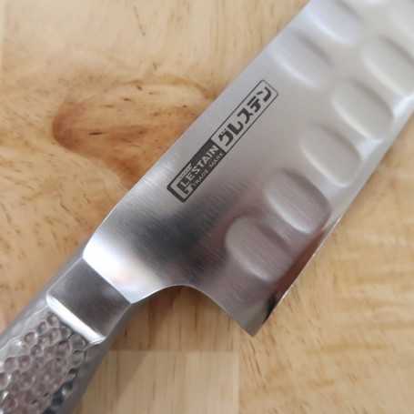 Glestain Stainless Steel Fillet – Japannywholesale