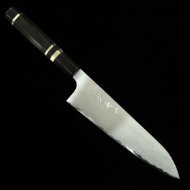Japanese Gyuto knife - NIGARA - damascus - Aogami 2 - ebony wood handle - size:21cm