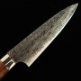 Japanese Petty Knife - TAKESHI SAJI - Stainless Damascus R2 Steel d...