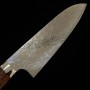 Japanese Santoku Knife - TAKESHI SAJI - Stainless Damascus R2 Steel...