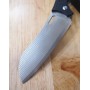 Switchblade Style Santoku Knife - TAKESHI SAJI - R2 Damascus Steel - Size: 13cm