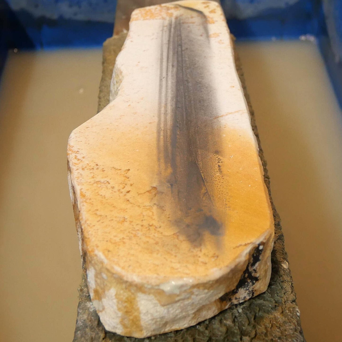 Miotsukushihime pierre à aiguiser naturelle Iyo Meito NM02, Sakura, 87×248×30 mm