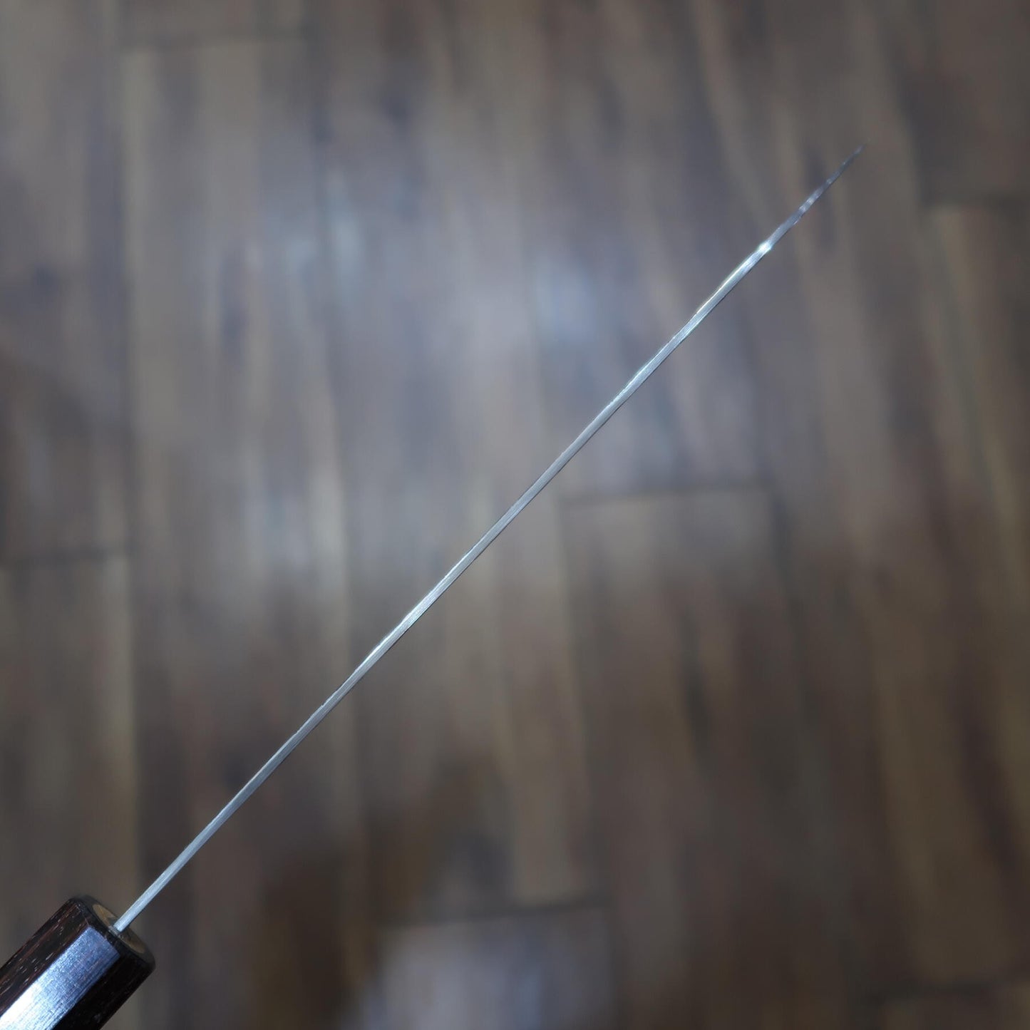Miura SLD Gyuto, Semi-Stainless Steel, Satin Finish with Zelkova Wood Handle (210/240mm)