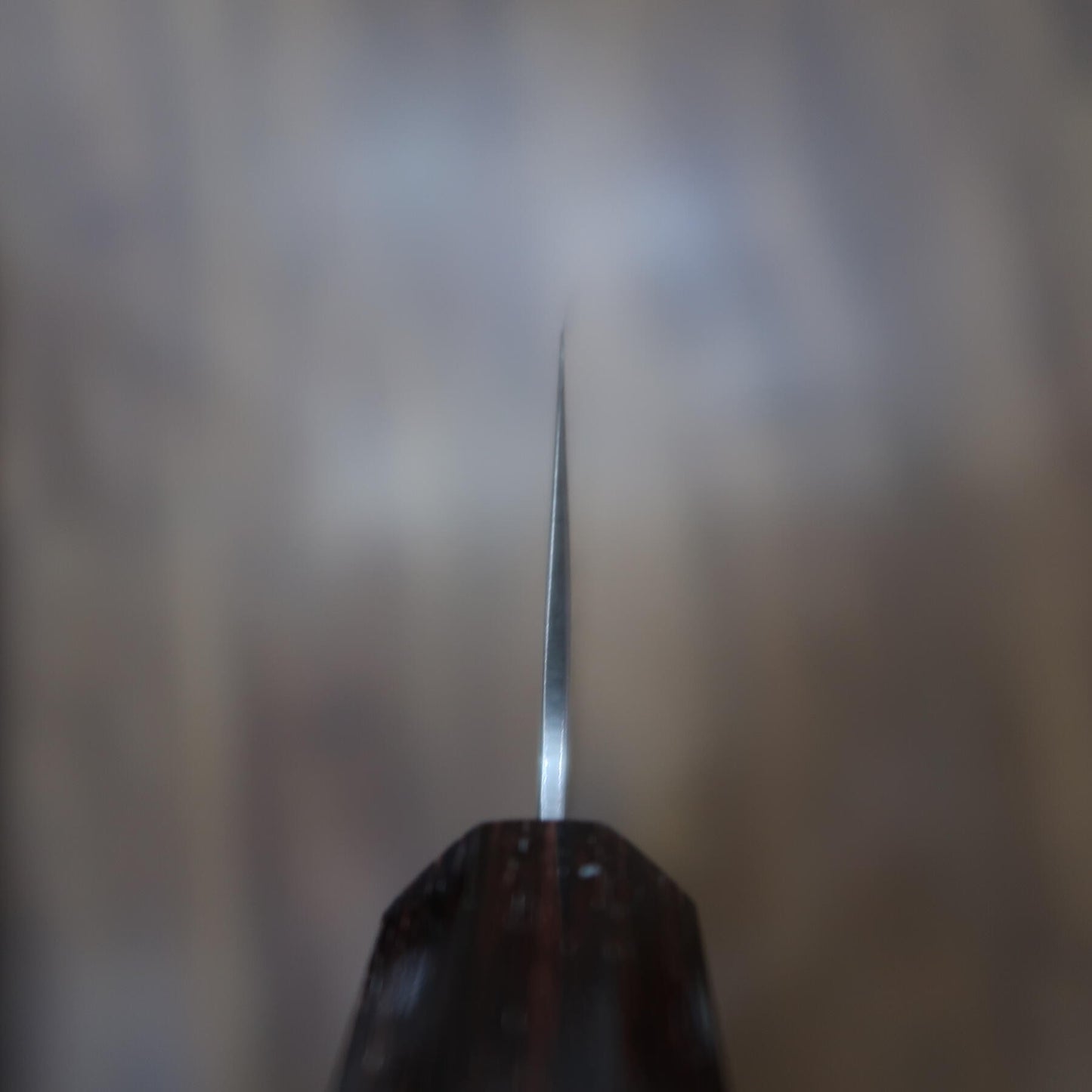 Miura SLD Gyuto, Semi-Stainless Steel, Satin Finish with Zelkova Wood Handle (210/240mm)