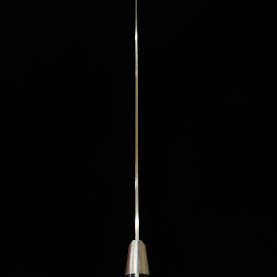 Misono UX-10 Gyuto type saumon (210 mm)