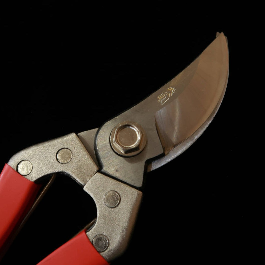 Tesoura de poda profissional aço SLD Yasunori (200 mm)
