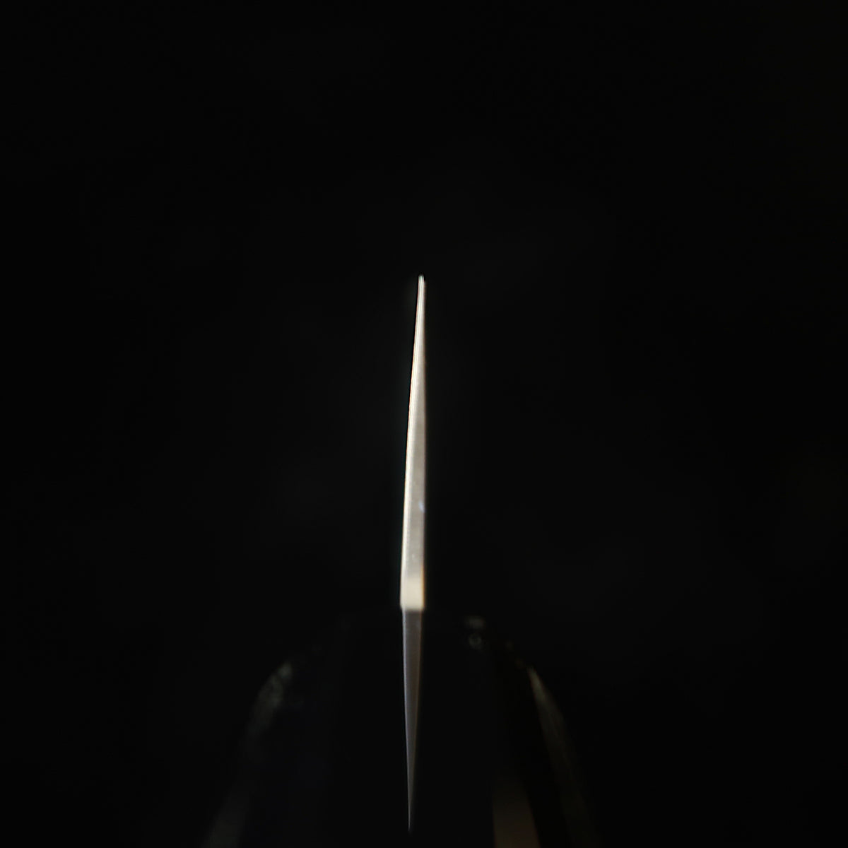 三浦MIURA 牛刀 ZDP189 ショット カスタムハンドル（210mm）
