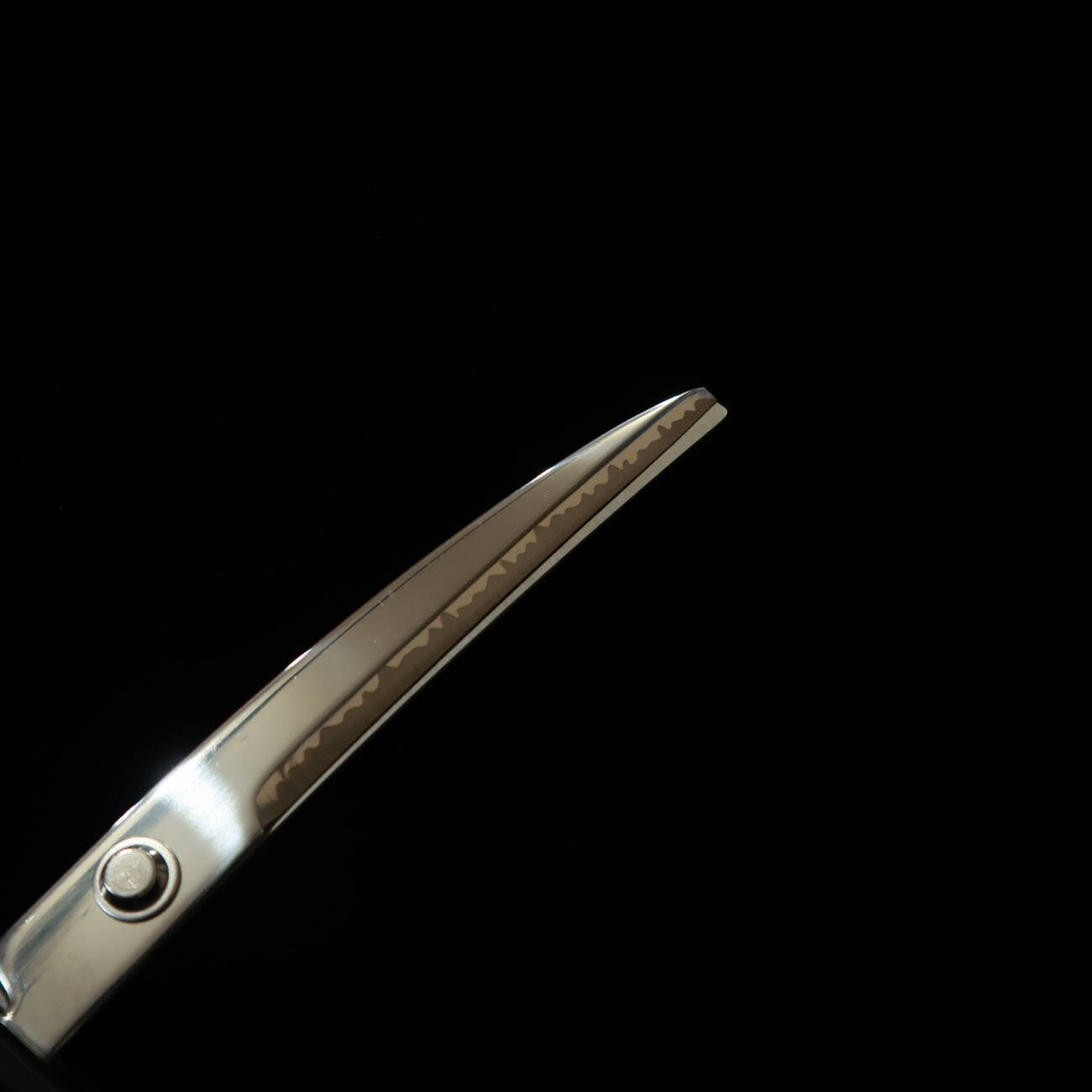 Nikken Cutlery Japanese Sword Scissors with Stand, Tokugawa Ieyasu