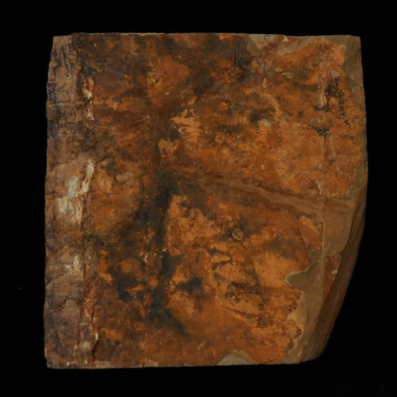 Pedra de amolar natural Nakayama Aoto Koppa 92×94×14 mm