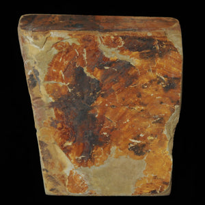 Pedra de Afiar Natural Nakayama Aoto Koppa 110×123×14 mm