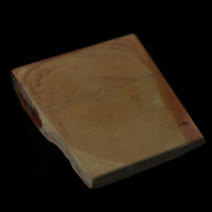 Pedra de Afiar Natural Nakayama Aoto Koppa 110×123×14 mm