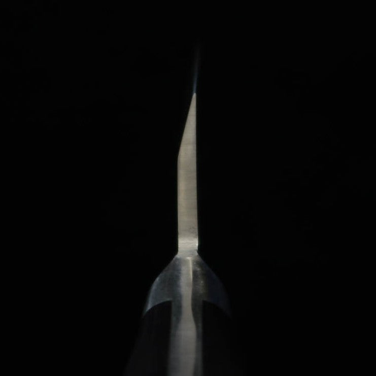Garasuki Sakai Takayuki Japanese Steel (180mm)