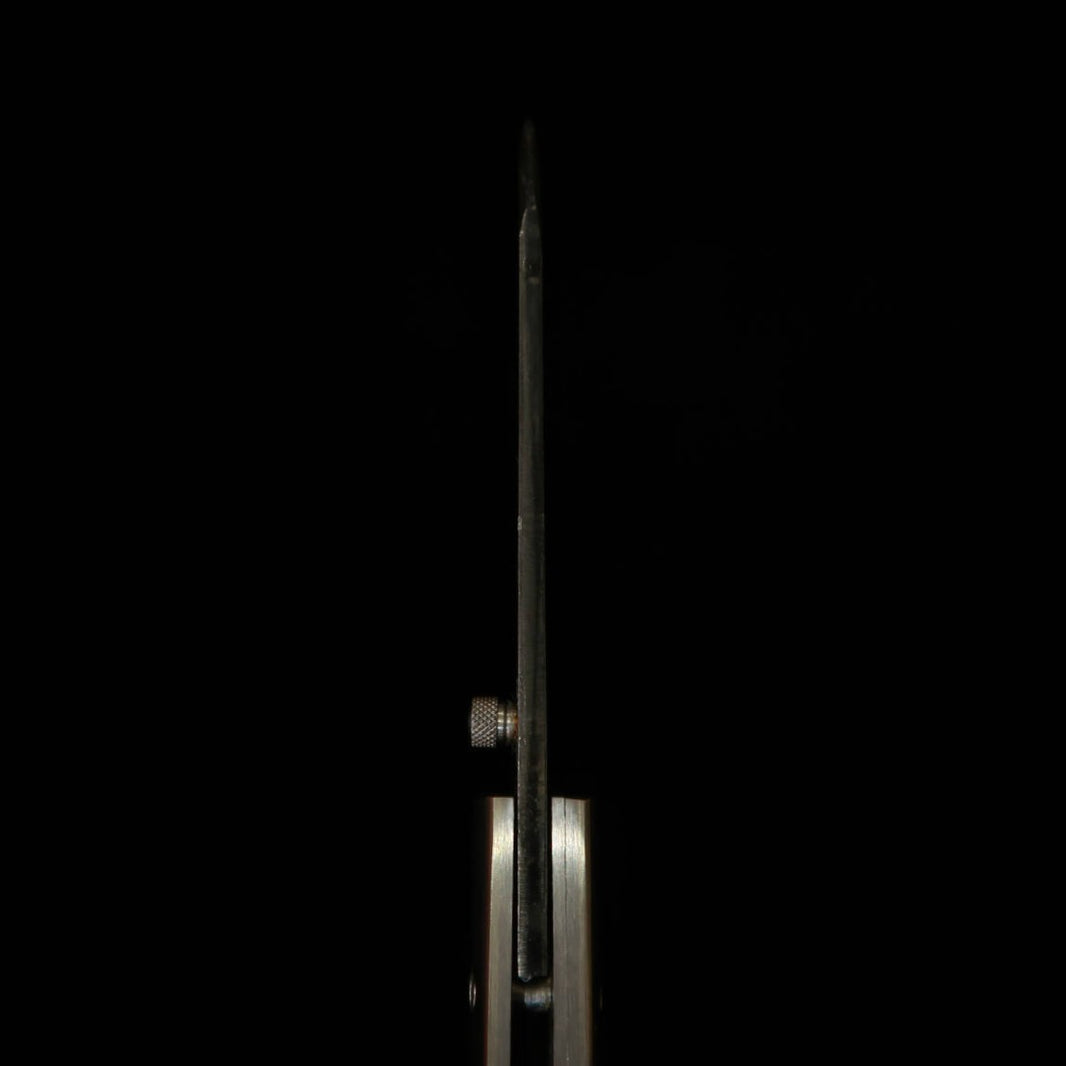 TAKEDA Bitchu forge artisanale par Fumio Inagaki Couteau pliant liner lock Stag