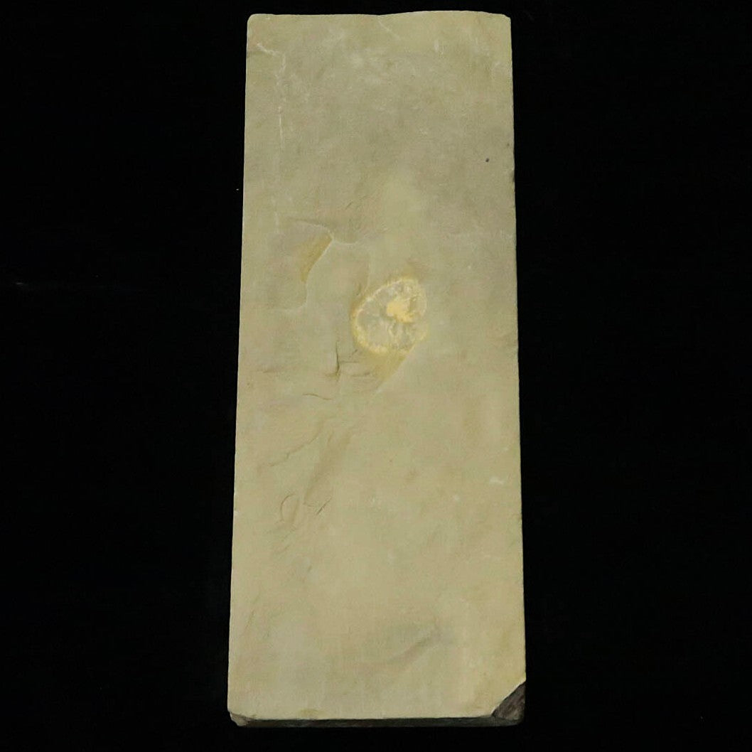Pedra de amolar natural Atagoyama Aoto extra fina tipo 40 80×212×16 mm