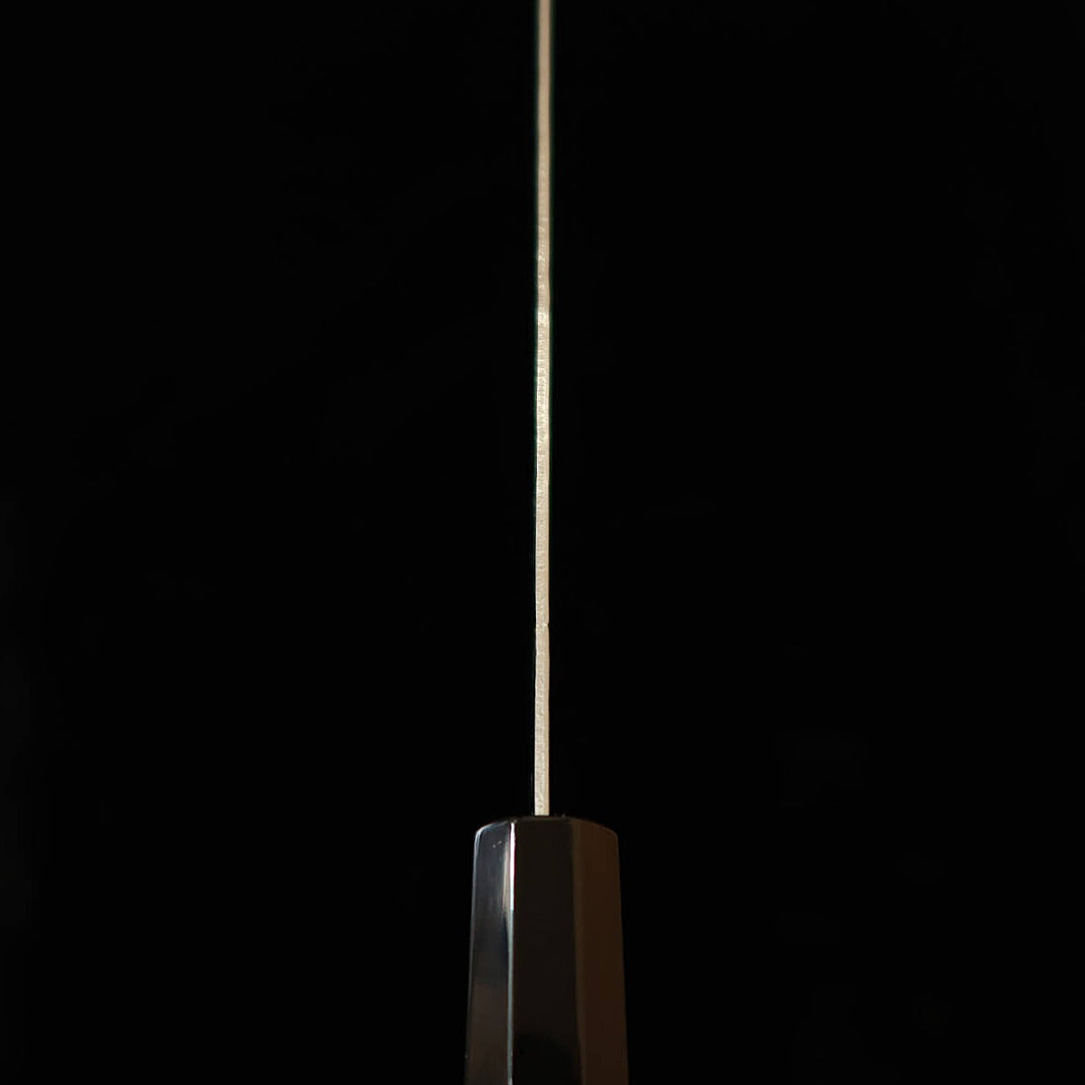 Miura Kiritsuke Ginsan Nashiji Ebony Octagonal Handle (210mm)
