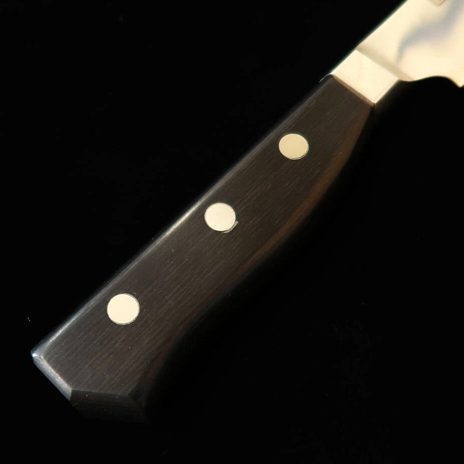 GLESTAIN Glestain, cuchillo para proteínas 021TK (210 mm)