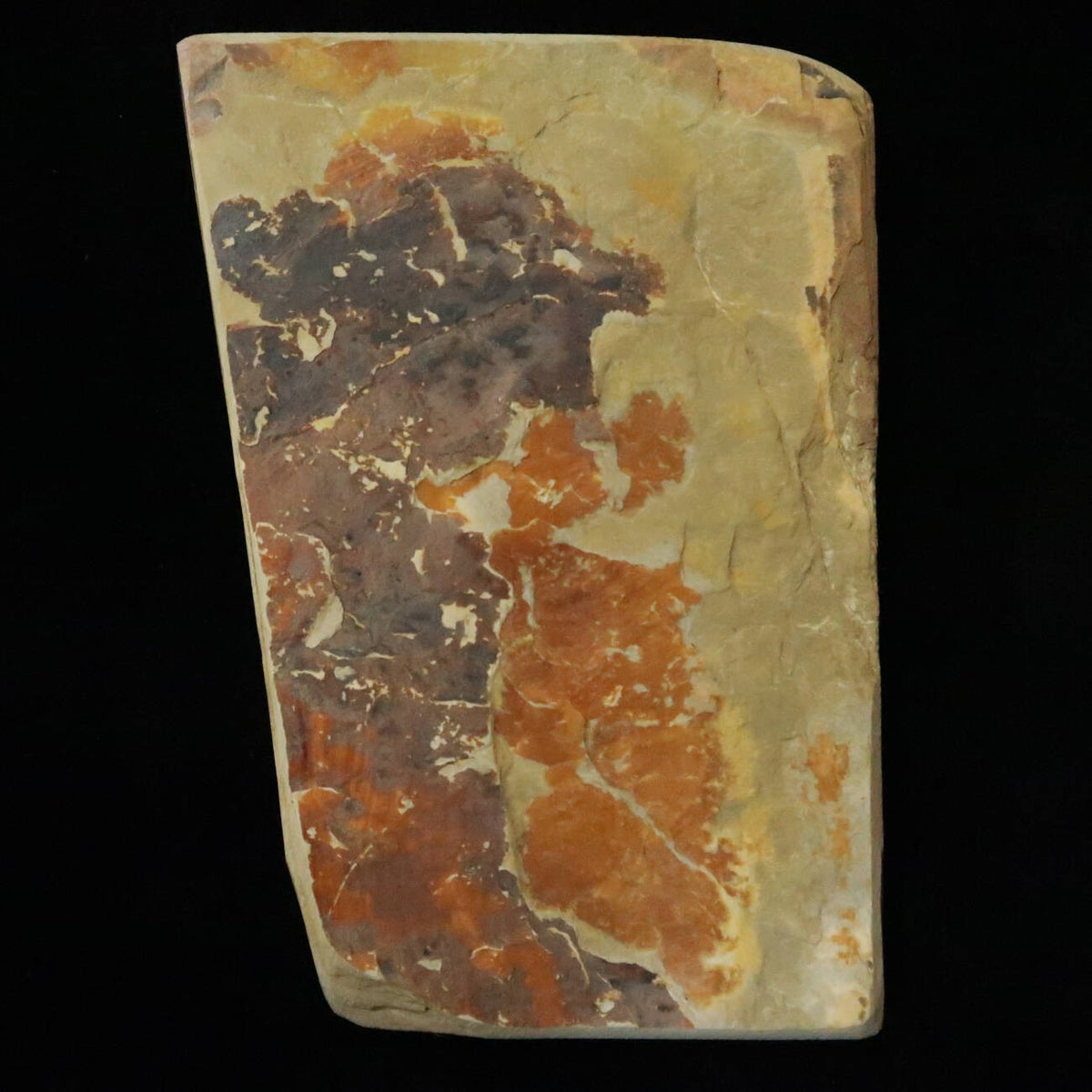 Pedra de amolar natural Nakayama Aoto, pedaço (koppa) 83 × 118 × 14 mm