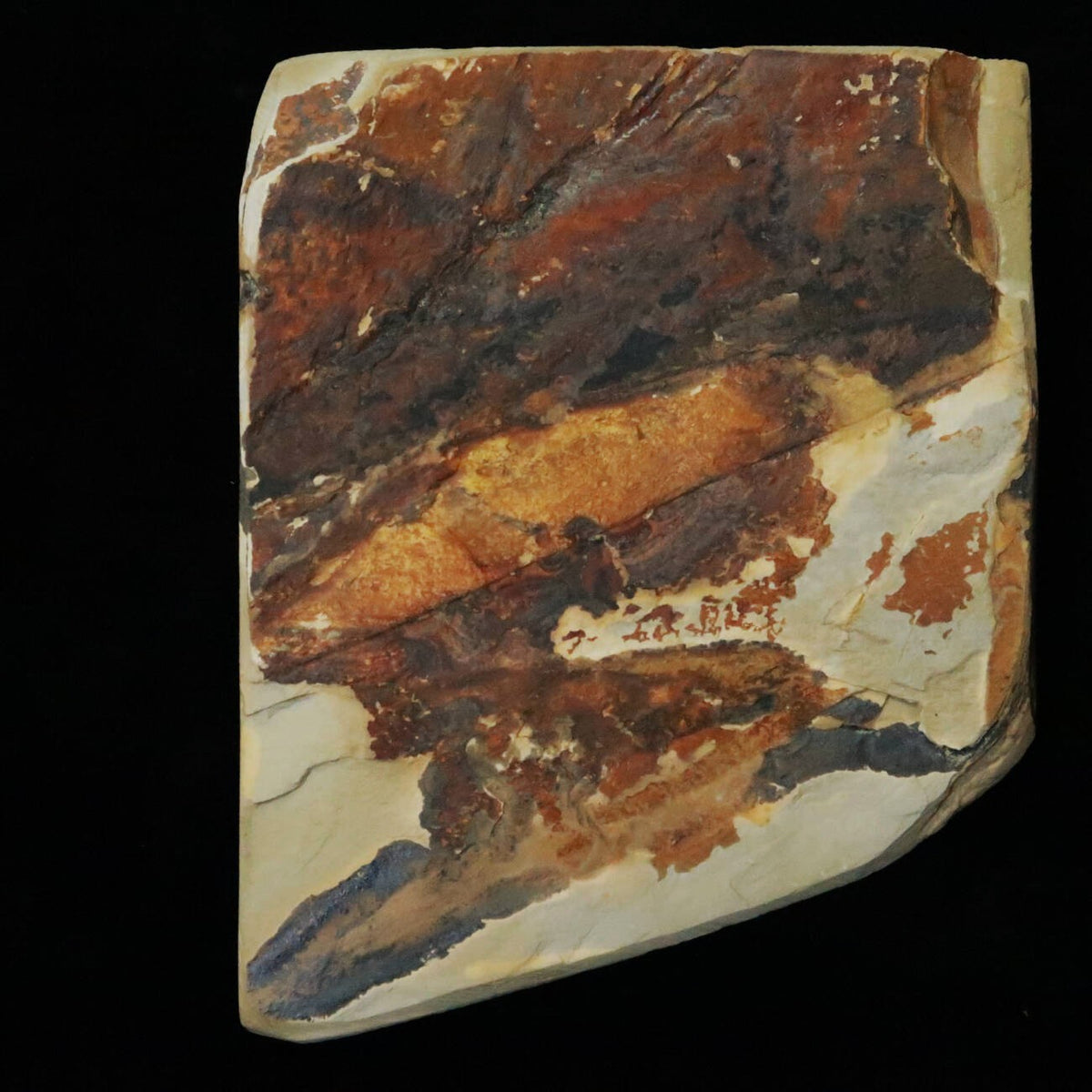 天然砥石　中山 合砥 コッパ 127×102×33mm