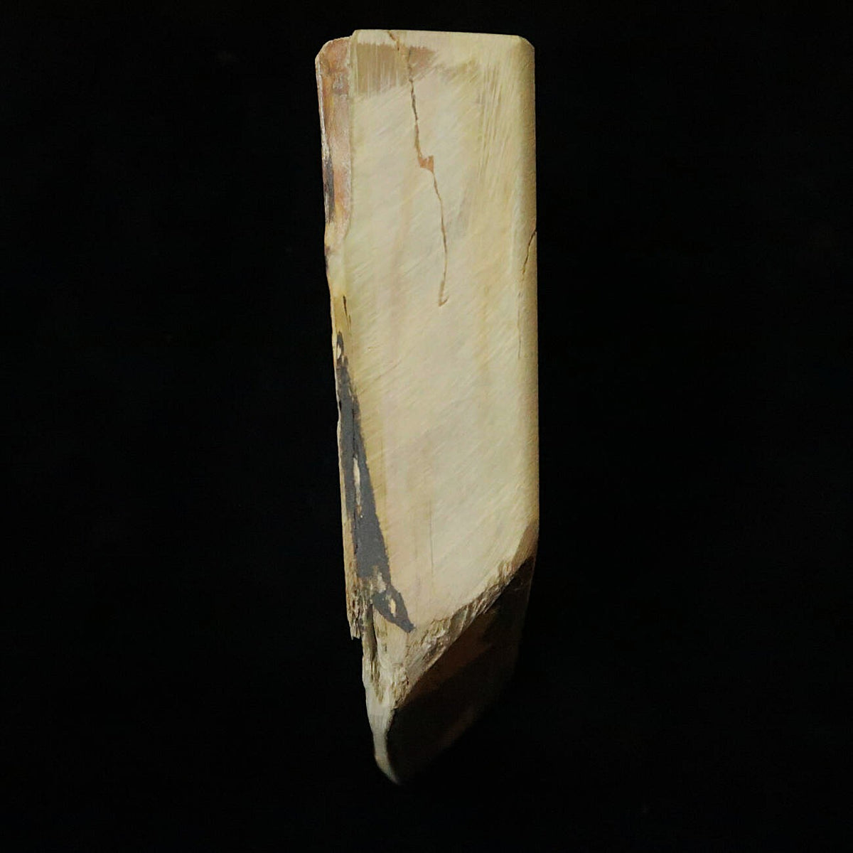 天然砥石　中山 合砥 コッパ 127×102×33mm