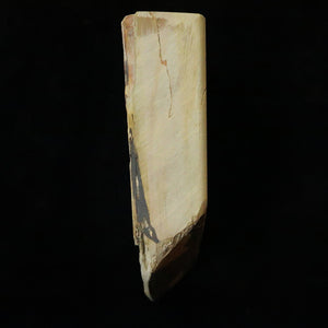 天然砥石　中山 合砥 コッパ 127×102×33mm