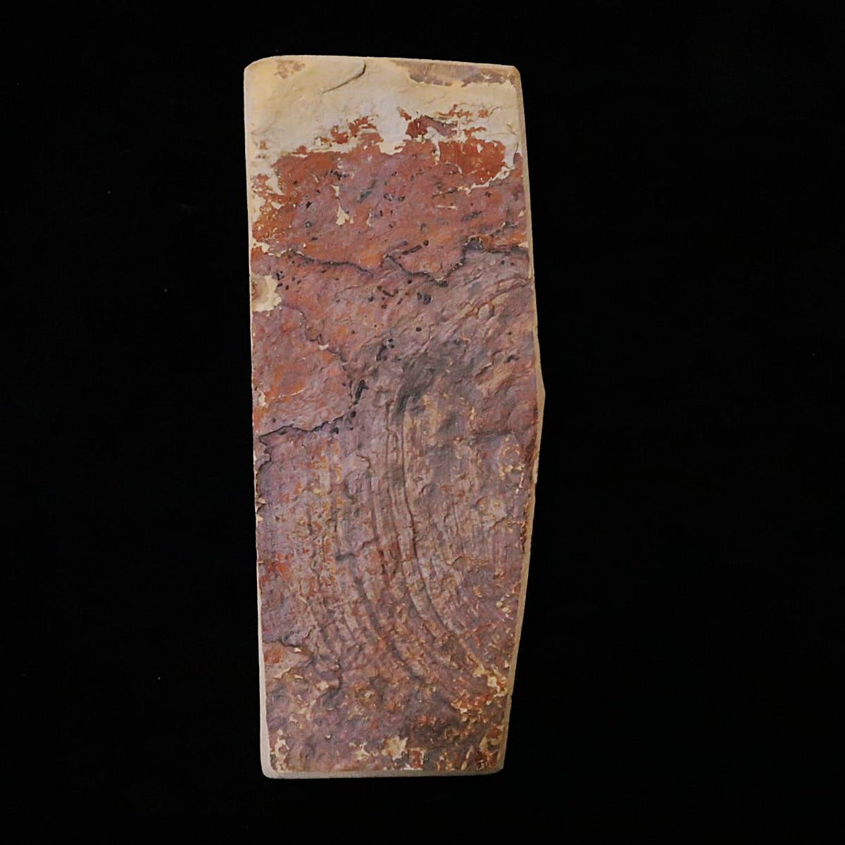 Pedra de amolar natural Nakayama aoto (acabamento) koppa 72 × 177 × 16 mm