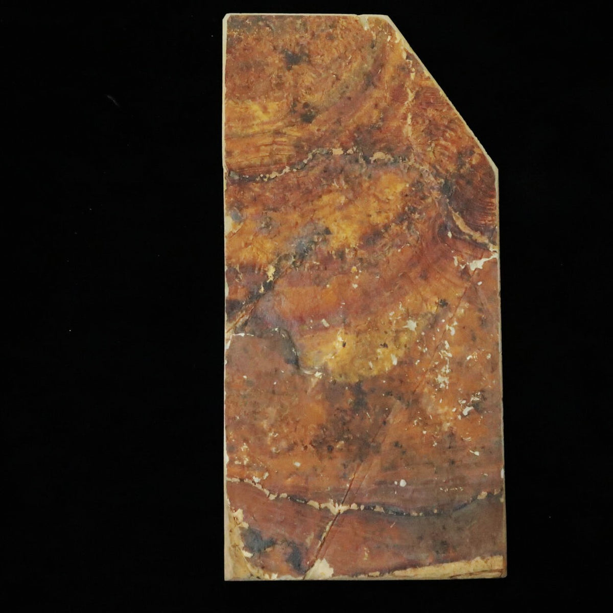 Pedra de amolar natural Nakayama Aoto Koppa 101×208×11 mm