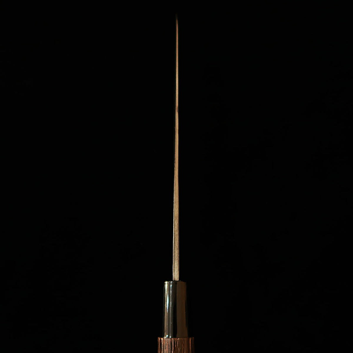 Gyuto MIWA Aogami No.1, mango de madera de castaño tostado (210 mm)