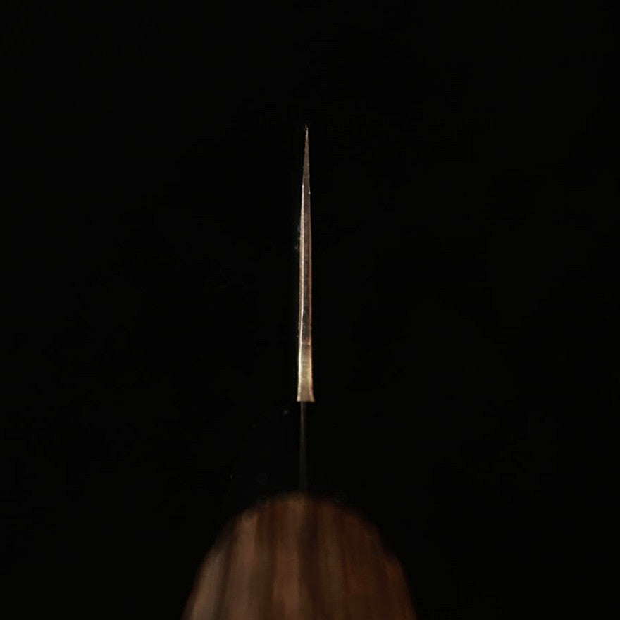 Miwa Hamono Gyuto Aogami No. 1, Burnt Chestnut Handle (210mm)