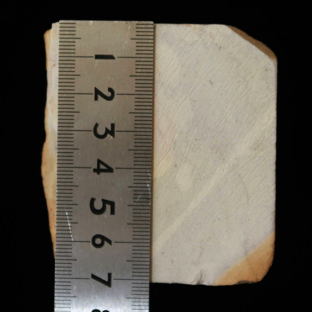 天然砥石　大突　巣板　コッパ　64×71×24mm