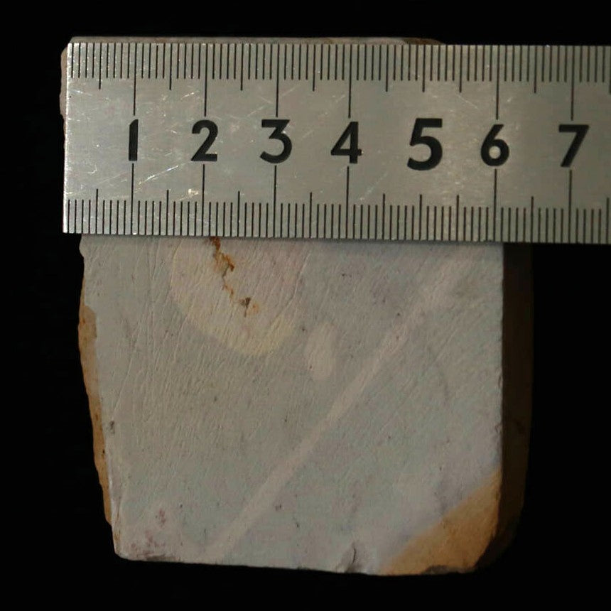 天然砥石　大突　巣板　コッパ　64×71×24mm