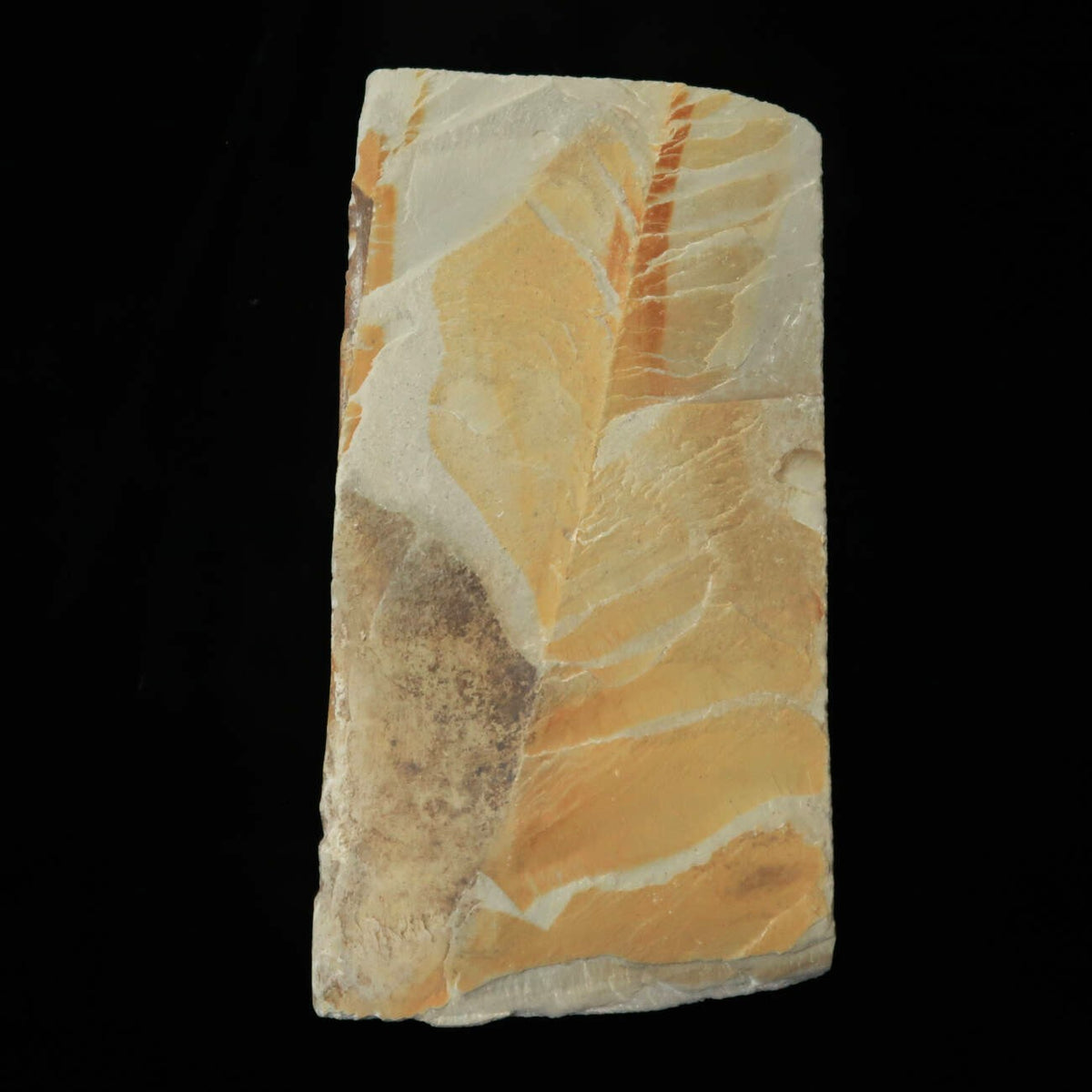 Pedra de amolar natural Nakayama, fina, 75×150×7 mm