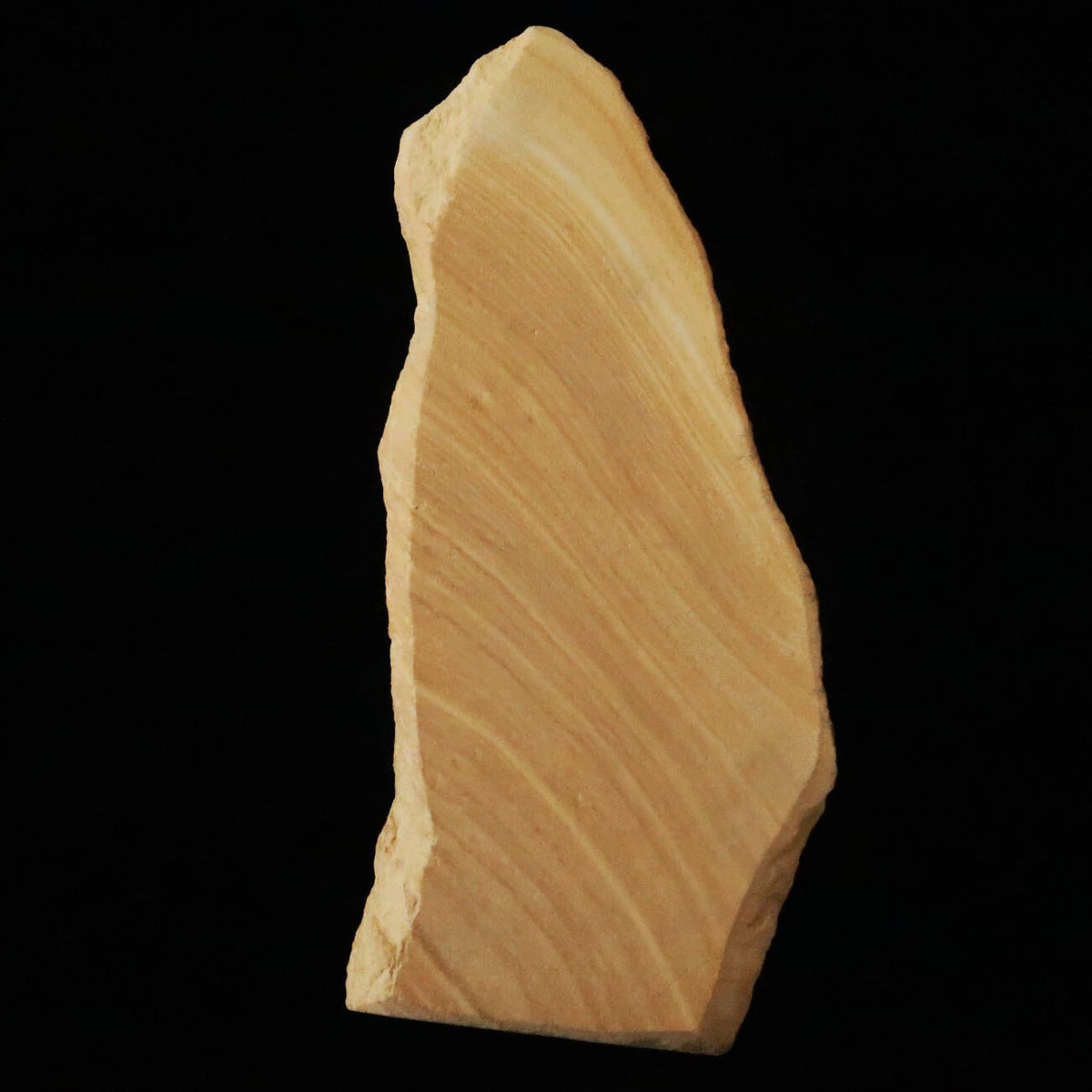 Miotsukushihime Pedra de amolar natural Iyo Meito M26 Veios de madeira 92 × 229 × 30 mm