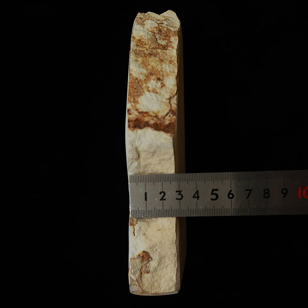 Miotsukushihime pedra de amolar natural Iyo Meito M48 “Shayou” em caixa de madeira 105 × 186 × 32 mm