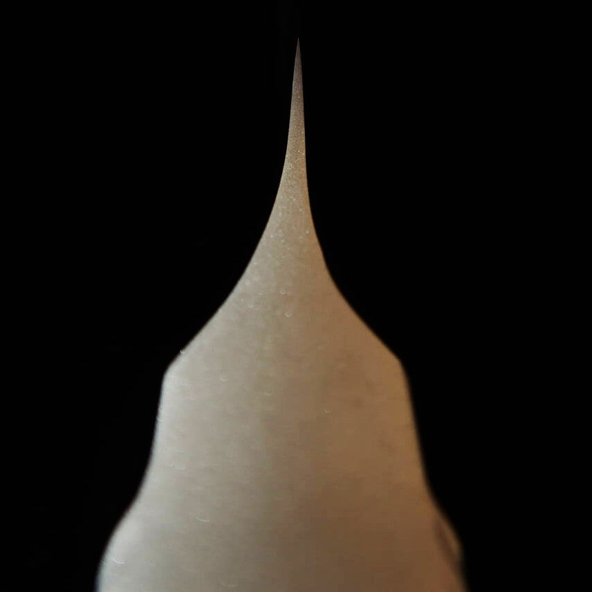 Glestain GLESTAIN Trancheur à saumon 331TAML (330 mm)