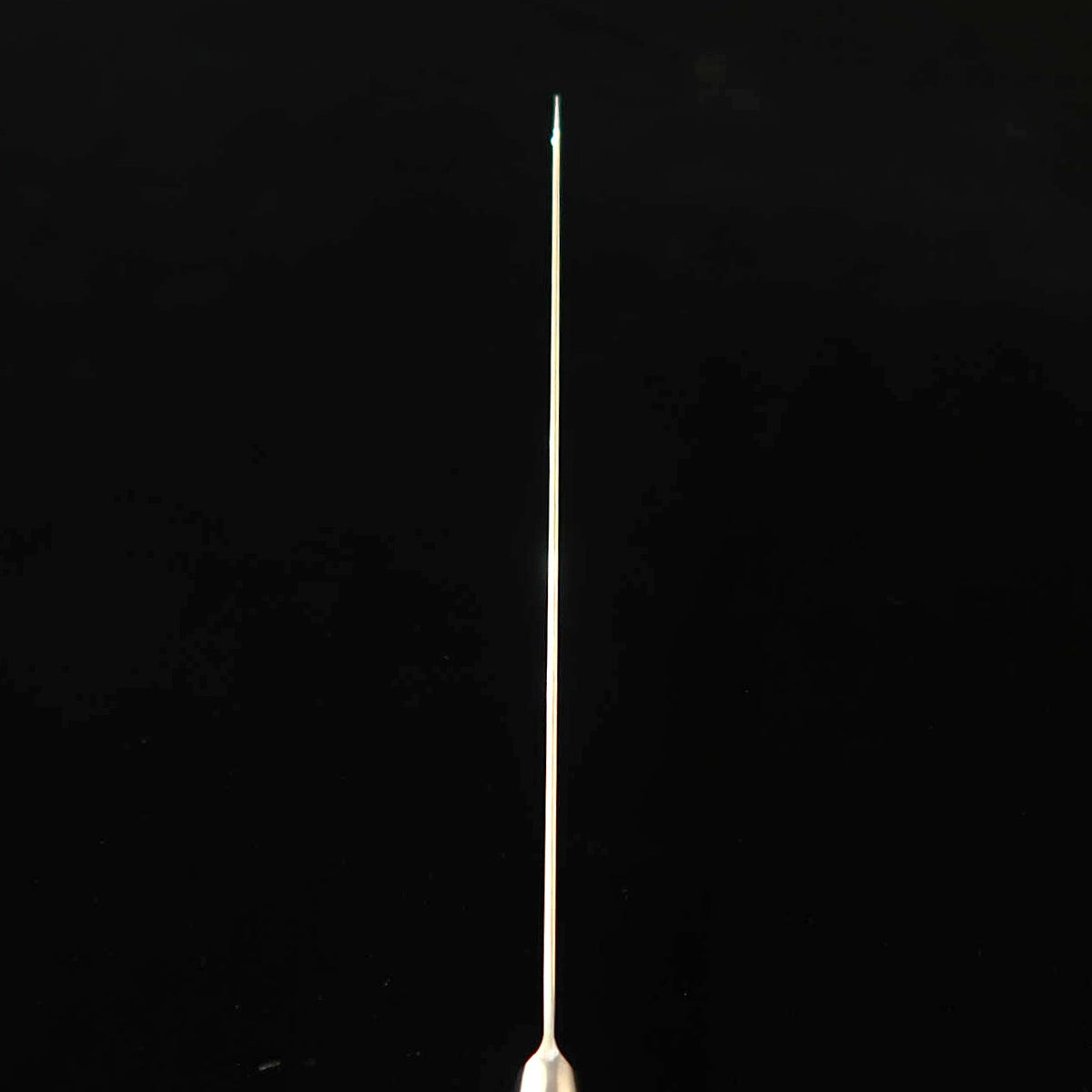堺孝行 SAKAI TAKAYUKI　剣型柳刃 コアレス マイカルタハンドル（260ｍｍ）