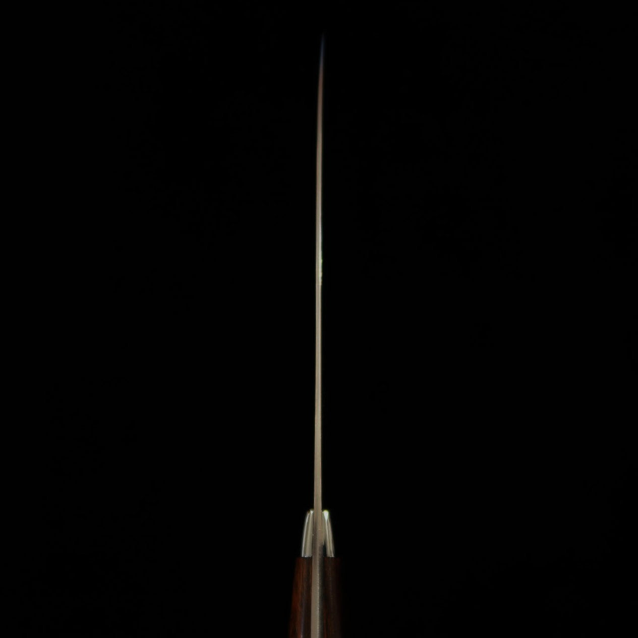 Takeshi Saji Aogami No. 2 Rainbow Damascus Petty Ironwood Handle (135/150mm) 