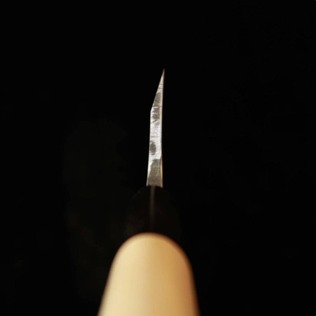 Masamoto Sohonten Deba Aogami No. 2 magnolia octagonal handle (150-210mm)