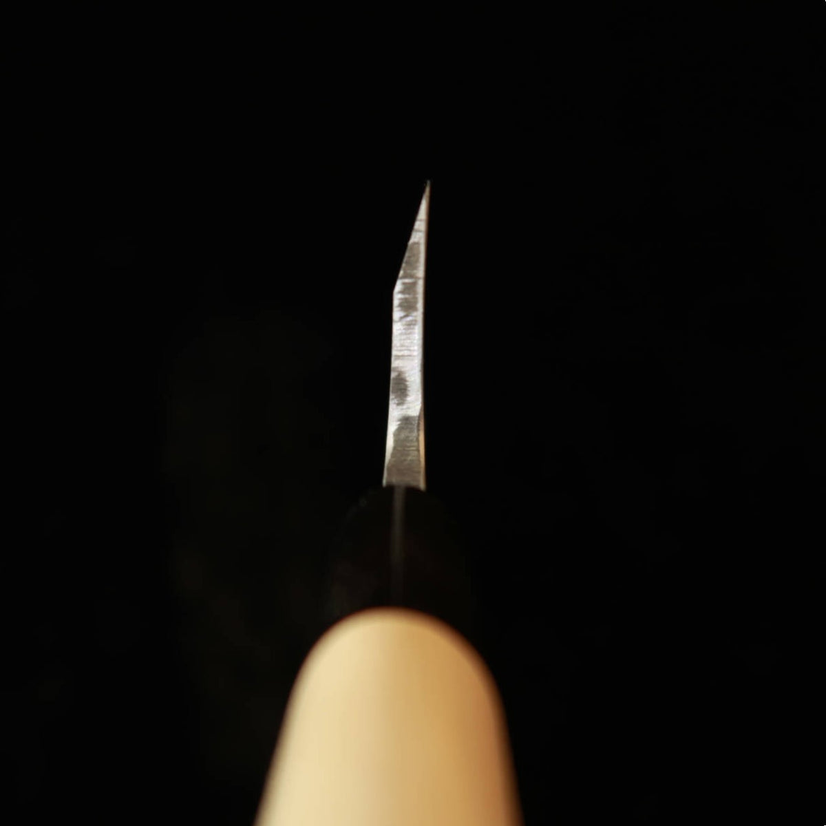 Masamoto Sohonten Deba Aogami No. 2 magnolia octagonal handle (150-210mm)