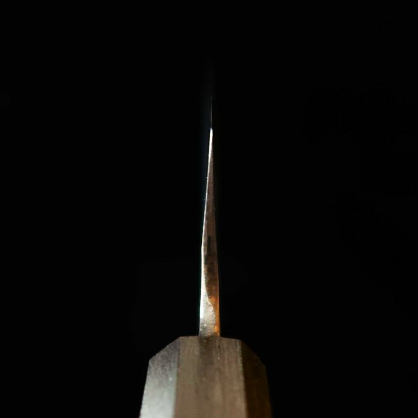 IKENAMI HAMONO Gyuto, Shirogami #1, Stainless Clad with Oak Handle (210-270mm)